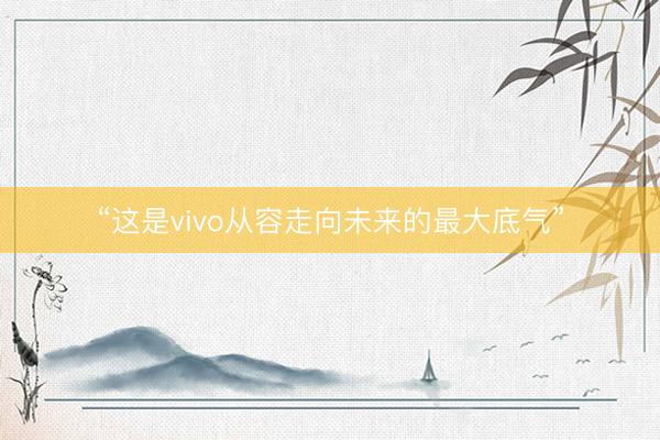 “这是vivo从容走向未来的最大底气”