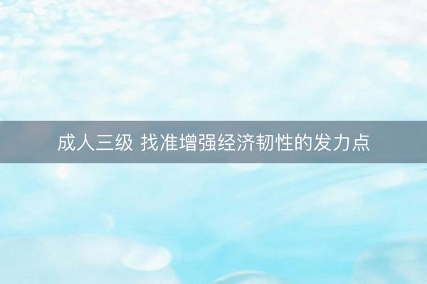 成人三级 找准增强经济韧性的发力点
