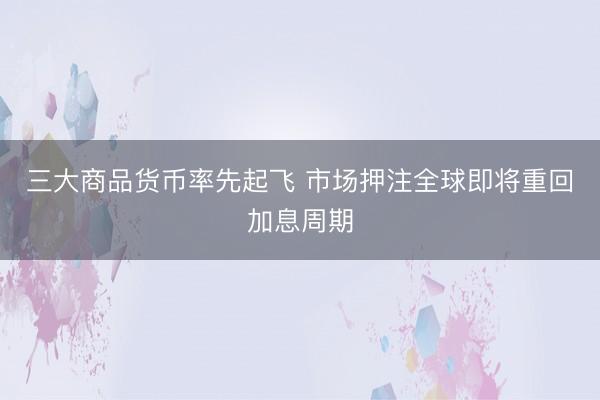 三大商品货币率先起飞 市场押注全球即将重回加息周期