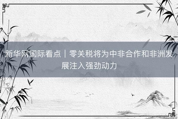新华网国际看点｜零关税将为中非合作和非洲发展注入强劲动力