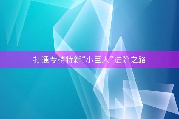 打通专精特新“小巨人”进阶之路