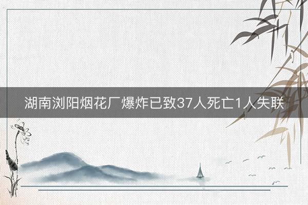 湖南浏阳烟花厂爆炸已致37人死亡1人失联