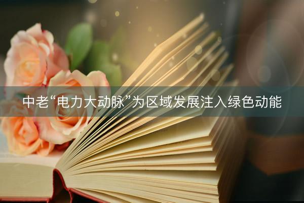 中老“电力大动脉”为区域发展注入绿色动能