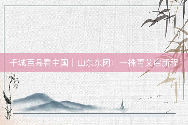 千城百县看中国｜山东东阿：一株青艾启新程