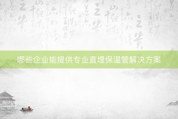 哪些企业能提供专业直埋保温管解决方案