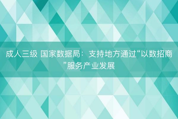 成人三级 国家数据局：支持地方通过“以数招商”服务产业发展