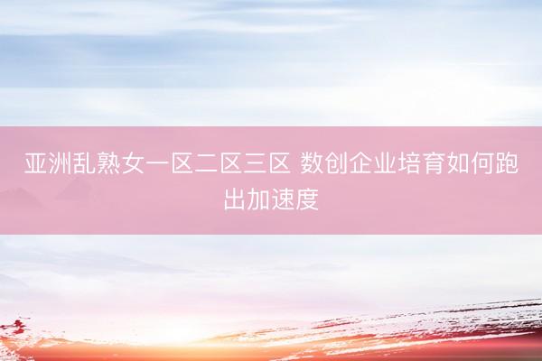 亚洲乱熟女一区二区三区 数创企业培育如何跑出加速度