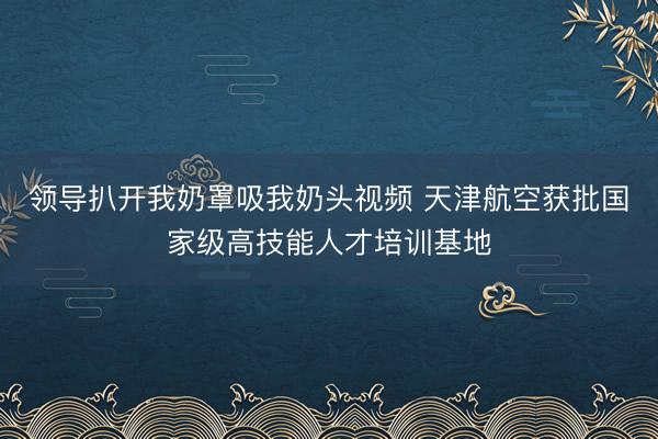 领导扒开我奶罩吸我奶头视频 天津航空获批国家级高技能人才培训基地