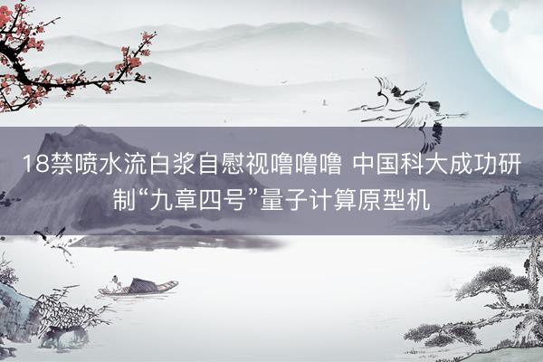 18禁喷水流白浆自慰视噜噜噜 中国科大成功研制“九章四号”量子计算原型机