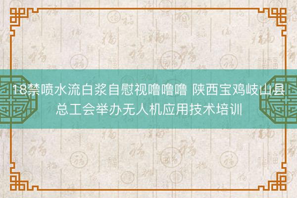 18禁喷水流白浆自慰视噜噜噜 陕西宝鸡岐山县总工会举办无人机应用技术培训