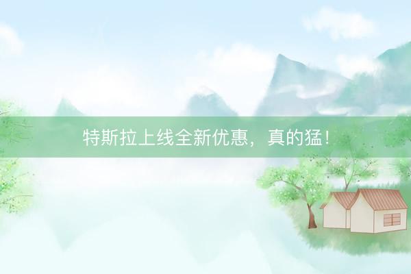 特斯拉上线全新优惠，真的猛！