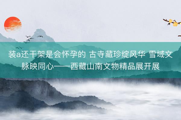 装a还干架是会怀孕的 古寺藏珍绽风华 雪域文脉映同心——西藏山南文物精品展开展