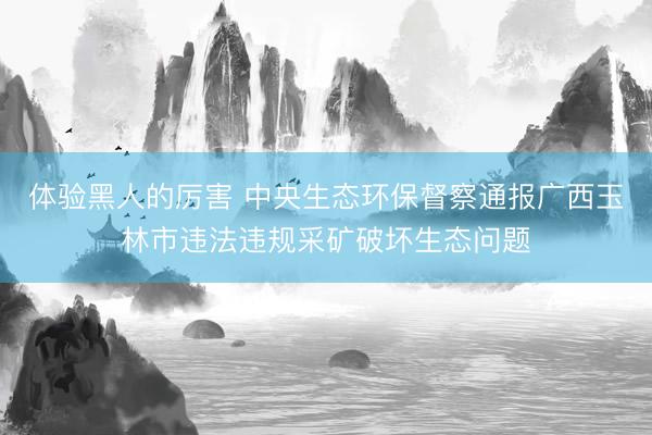 体验黑人的厉害 中央生态环保督察通报广西玉林市违法违规采矿破坏生态问题