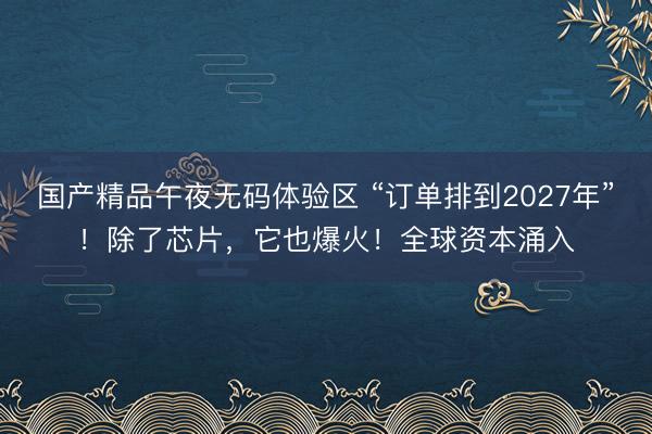国产精品午夜无码体验区 “订单排到2027年”！除了芯片，它也爆火！全球资本涌入
