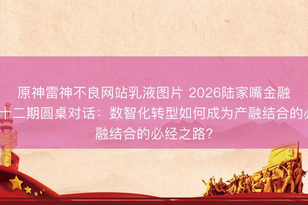 原神雷神不良网站乳液图片 2026陆家嘴金融沙龙｜第十二期圆桌对话：数智化转型如何成为产融结合的必经之路？