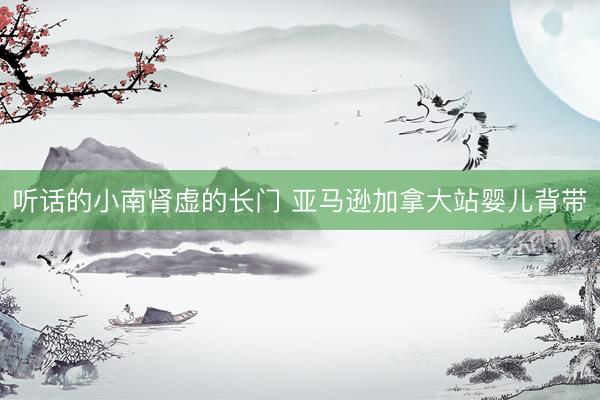 听话的小南肾虚的长门 亚马逊加拿大站婴儿背带