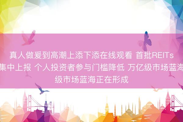 真人做爰到高潮上添下添在线观看 首批REITs指数基金集中上报 个人投资者参与门槛降低 万亿级市场蓝海正在形成