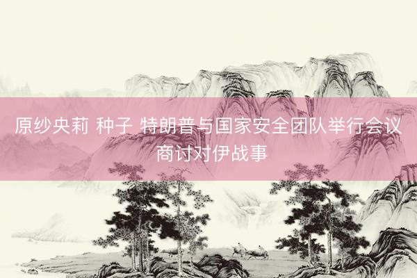 原纱央莉 种子 特朗普与国家安全团队举行会议 商讨对伊战事