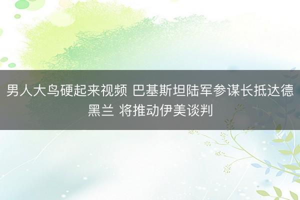 男人大鸟硬起来视频 巴基斯坦陆军参谋长抵达德黑兰 将推动伊美谈判