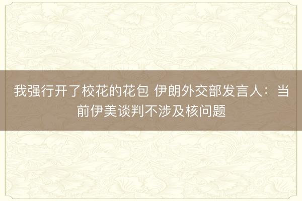 我强行开了校花的花包 伊朗外交部发言人：当前伊美谈判不涉及核问题
