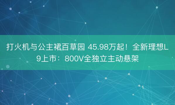 打火机与公主裙百草园 45.98万起!全新理想L9上市:800V全独立主动悬架
