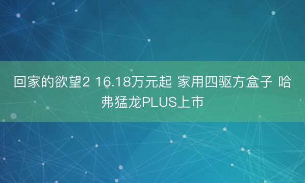回家的欲望2 16.18万元起 家用四驱方盒子 哈弗猛龙PLUS上市