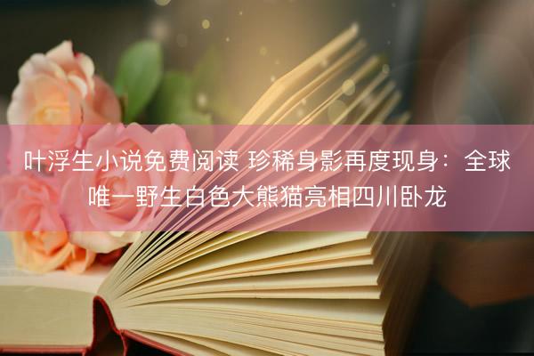 叶浮生小说免费阅读 珍稀身影再度现身：全球唯一野生白色大熊猫亮相四川卧龙