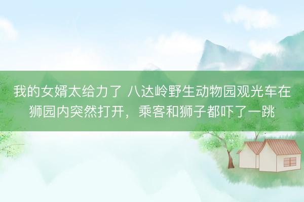 我的女婿太给力了 八达岭野生动物园观光车在狮园内突然打开，乘客和狮子都吓了一跳