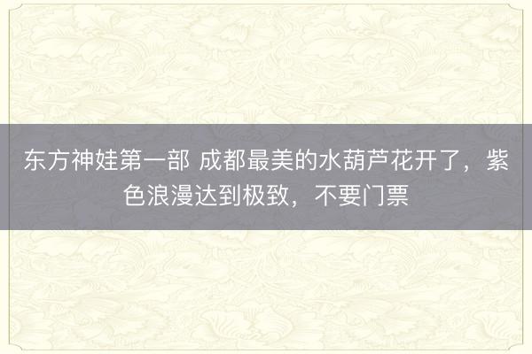 东方神娃第一部 成都最美的水葫芦花开了,紫色浪漫达到极致,不要门票