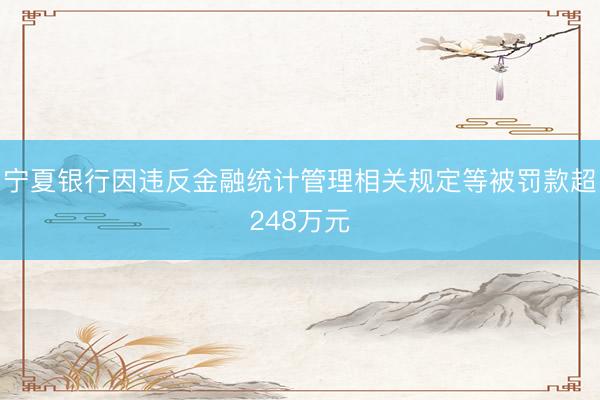 宁夏银行因违反金融统计管理相关规定等被罚款超248万元