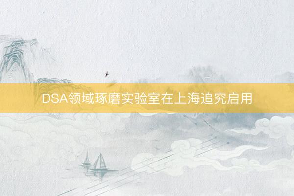 DSA领域琢磨实验室在上海追究启用