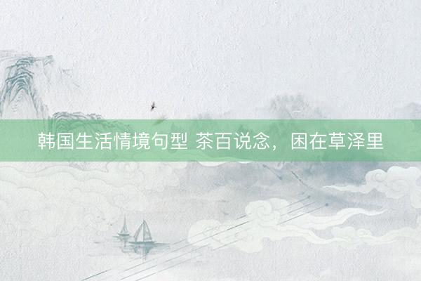 韩国生活情境句型 茶百说念，困在草泽里