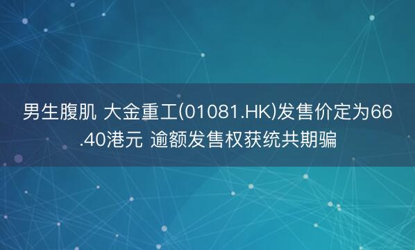 男生腹肌 大金重工(01081.HK)发售价定为66.40港元 逾额发售权获统共期骗