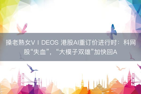 搡老熟女VⅠDEOS 港股AI重订价进行时：科网股“失血”，“大模子双雄”加快回A