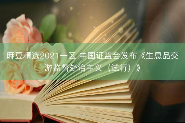 麻豆精选2021一区 中国证监会发布《生息品交游监督处治主义（试行）》