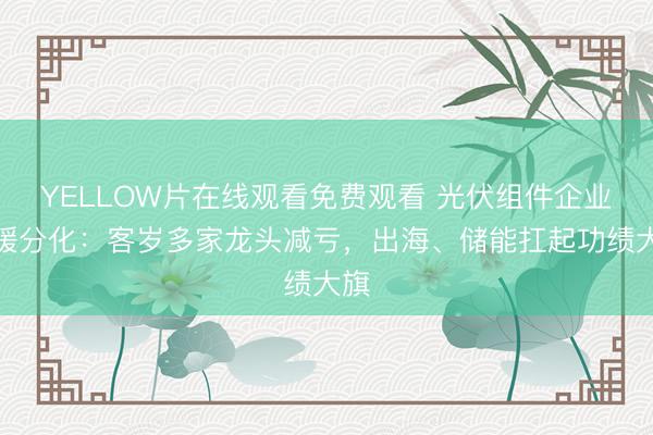 YELLOW片在线观看免费观看 光伏组件企业冷暖分化：客岁多家龙头减亏，出海、储能扛起功绩大旗