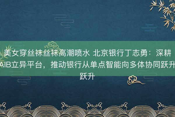 美女穿丝袜丝袜高潮喷水 北京银行丁志勇：深耕AIB立异平台，推动银行从单点智能向多体协同跃升