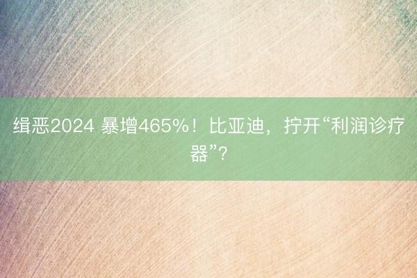 缉恶2024 暴增465%！比亚迪，拧开“利润诊疗器”？