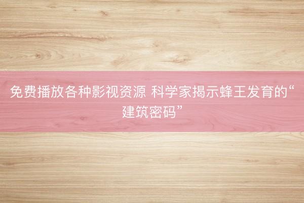免费播放各种影视资源 科学家揭示蜂王发育的“建筑密码”