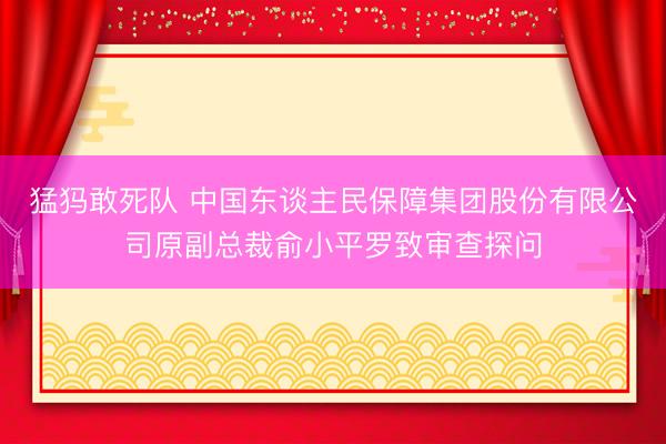 猛犸敢死队 中国东谈主民保障集团股份有限公司原副总裁俞小平罗致审查探问
