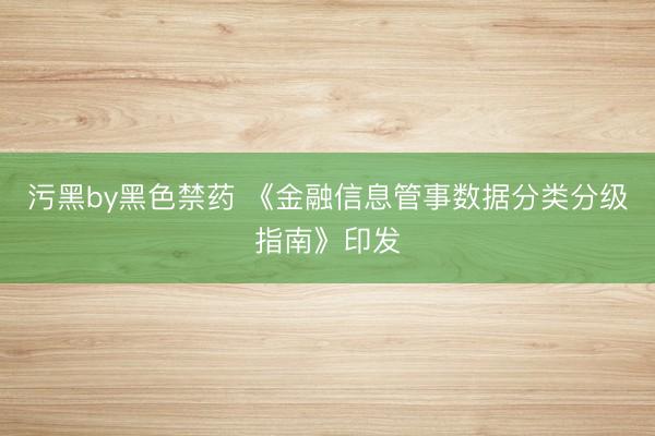 污黑by黑色禁药 《金融信息管事数据分类分级指南》印发