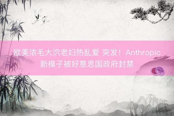 欧美浓毛大泬老妇热乱爱 突发！Anthropic新模子被好意思国政府封禁