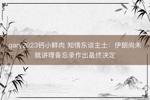 gary2023钙小鲜肉 知情东谈主士：伊朗尚未就讲理备忘录作出最终决定