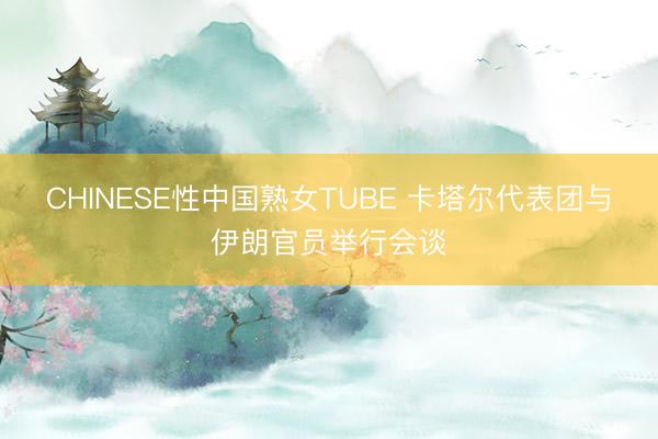 CHINESE性中国熟女TUBE 卡塔尔代表团与伊朗官员举行会谈