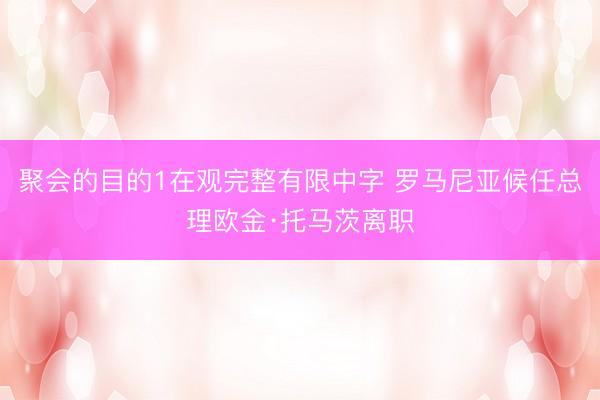 聚会的目的1在观完整有限中字 罗马尼亚候任总理欧金·托马茨离职