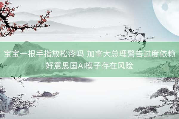 宝宝一根手指放松疼吗 加拿大总理警告过度依赖好意思国AI模子存在风险