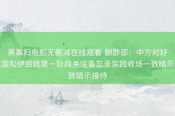 黑寡妇电影无删减在线观看 酬酢部：中方对好意思国和伊朗就第一阶段关注备忘录实践收场一致暗示接待