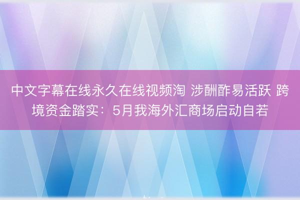 中文字幕在线永久在线视频淘 涉酬酢易活跃 跨境资金踏实:5月我海外汇商场启动自若