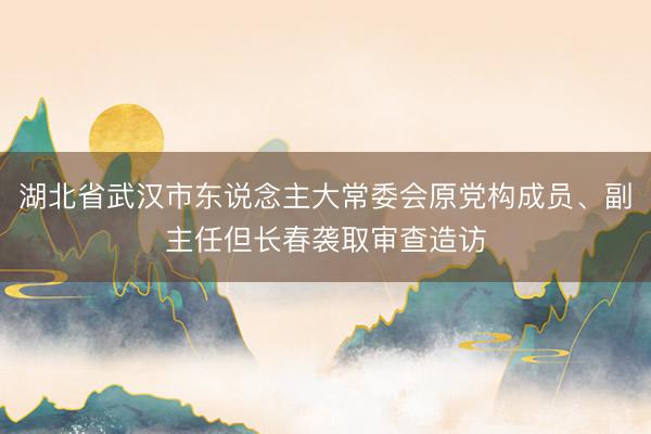 湖北省武汉市东说念主大常委会原党构成员、副主任但长春袭取审查造访