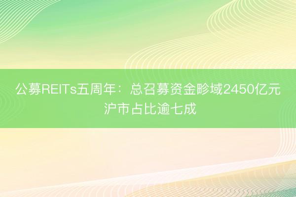 公募REITs五周年：总召募资金畛域2450亿元 沪市占比逾七成